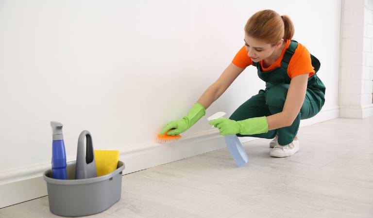 Woman in red-green dress and green gloves holding a bottle and brush in her hand scrubbing corners of walls
