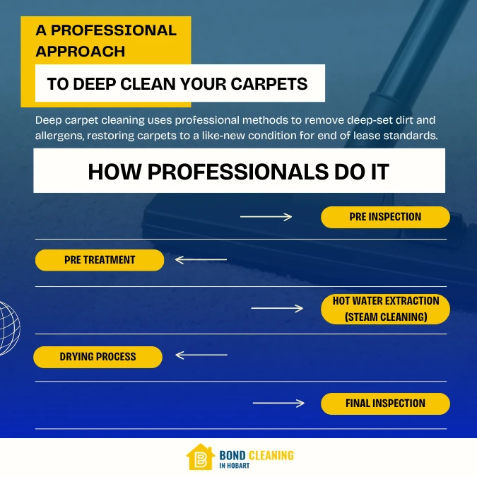 A Professional Approach to Deep Clean Your Carpets
