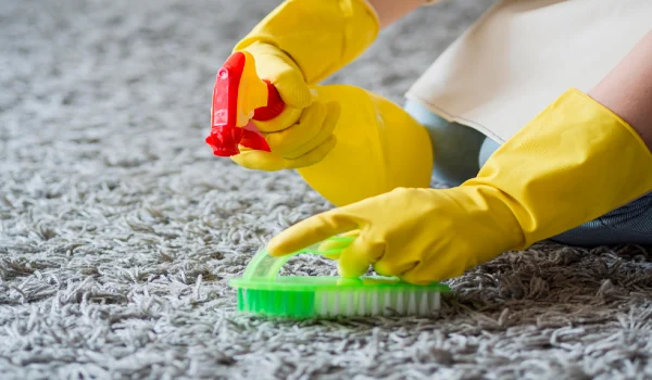 Close up disinfecting carpet with cleaning supplies